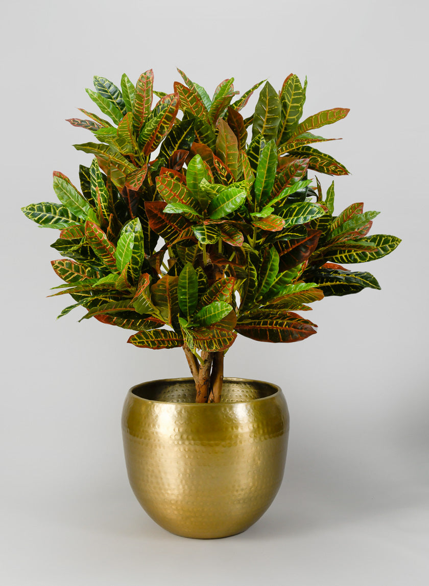 Madurai Brass Look Aluminum Indoor Garden Pot Decor Jamali-garden