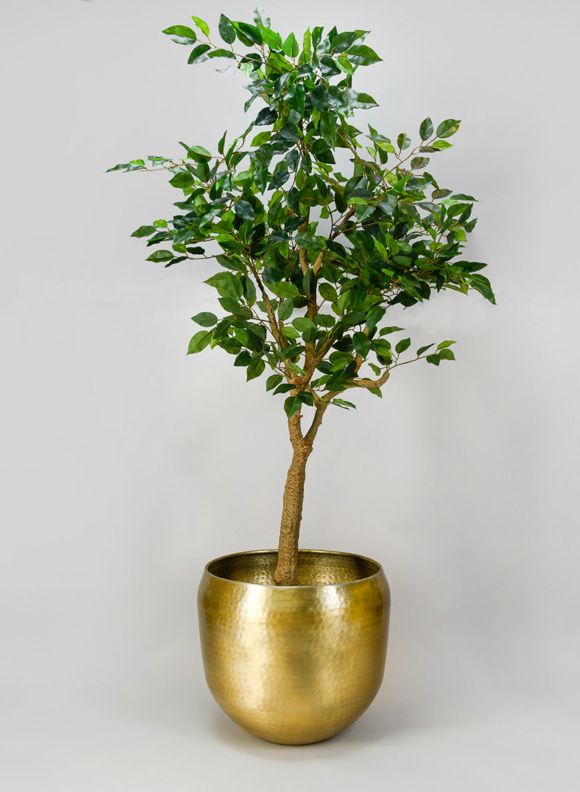 Madurai Brass Look Aluminum Indoor Garden Pot Decor Jamali-garden