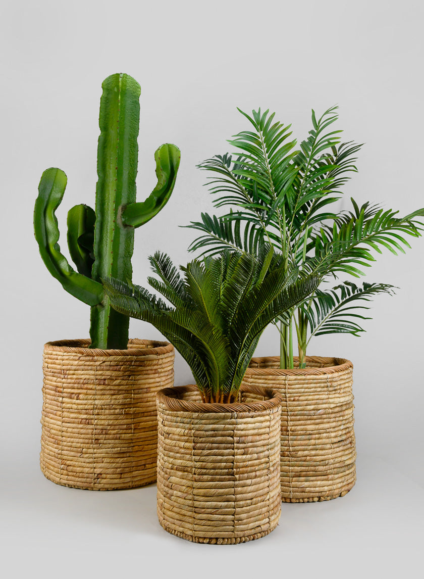 Da Nang Water Hyacinth Basket Pot Decor Jamali-garden
