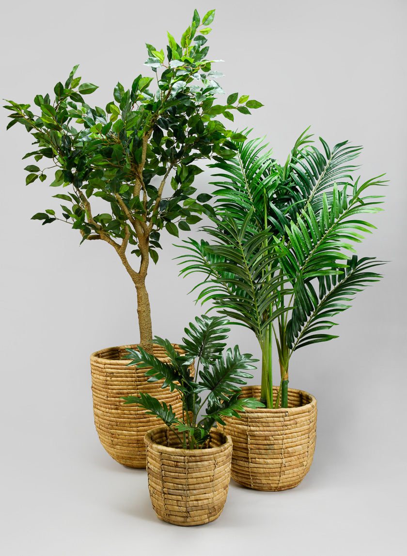 Haiphong Water Hyacinth Cachepot Decor Jamali-garden