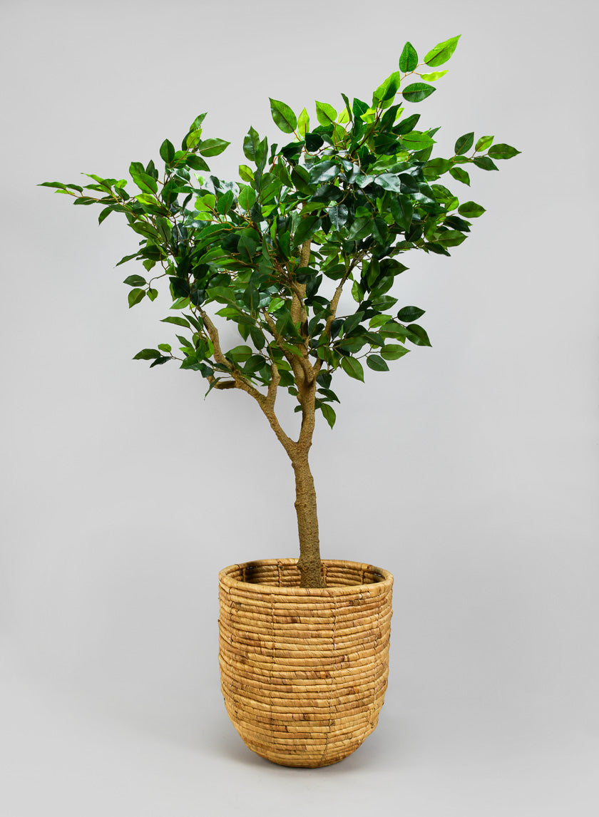 Haiphong Water Hyacinth Cachepot Decor Jamali-garden