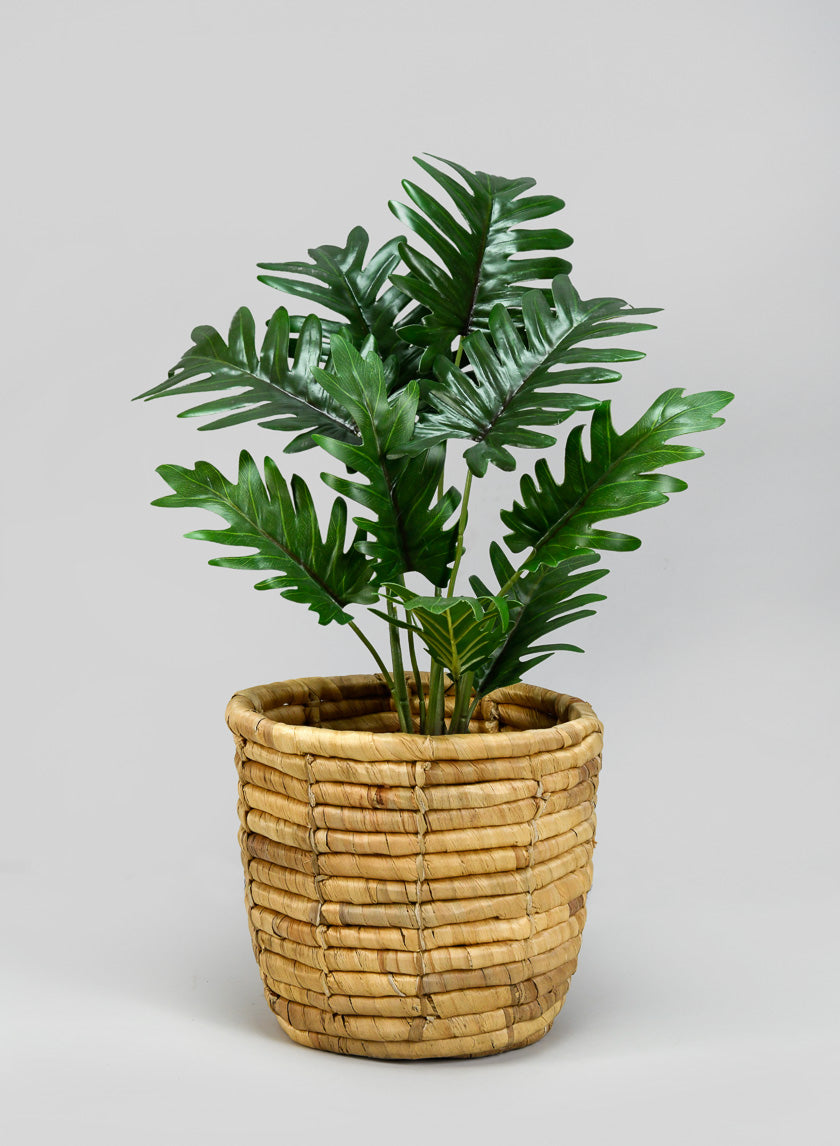 7.25in Tall Haiphong Water Hyacinth Cachepot, Small Decor Jamali-garden