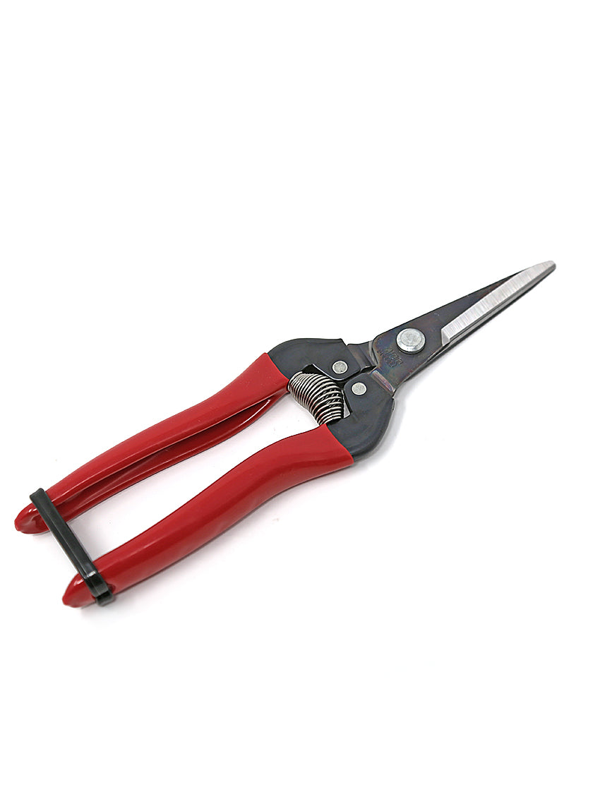 ARS Needlenose Pruner Decor Jamali-garden