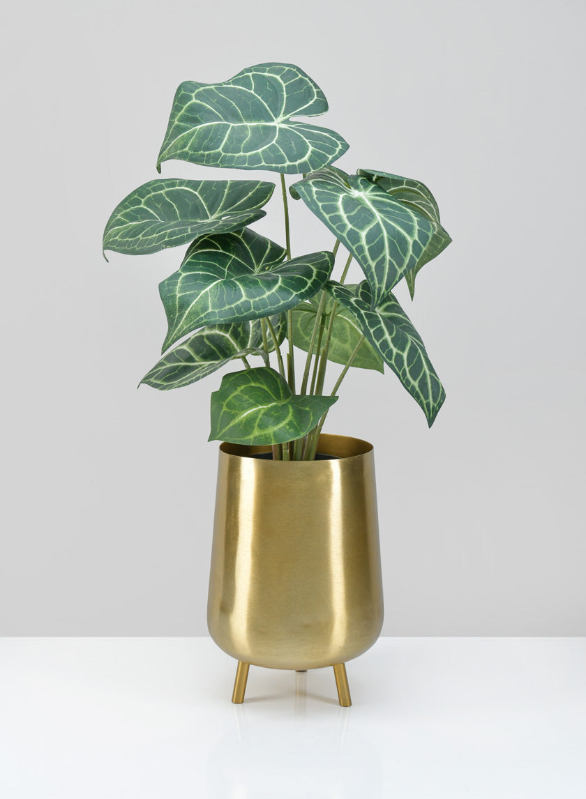 8in Tall Arash Gold Iron Mini Planter with Legs Decor Jamali-garden