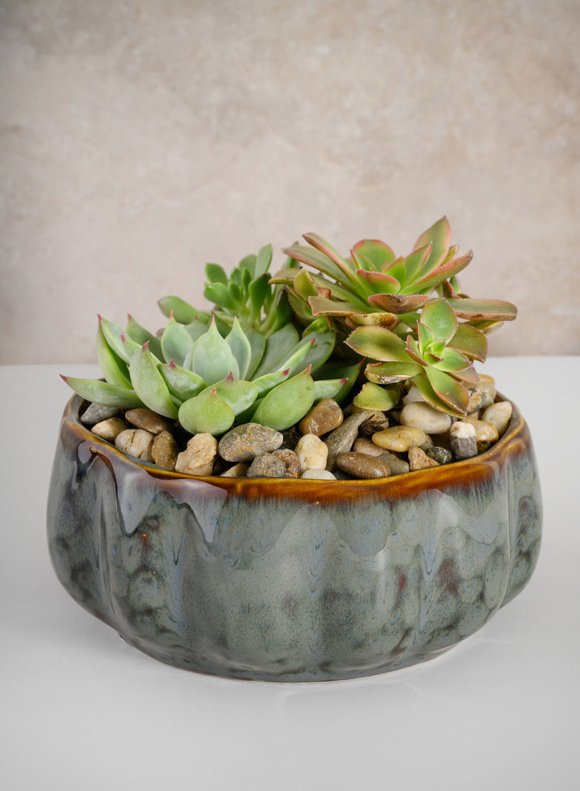 6.5in Wide Grey Glazed Leif Ceramic Bowl Decor Jamali-garden
