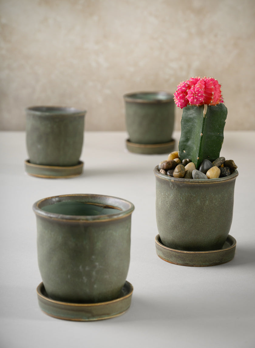 3in Tall Azra Aged Green Ceramic Pot with Saucer, Set of 4 Decor Jamali-garden