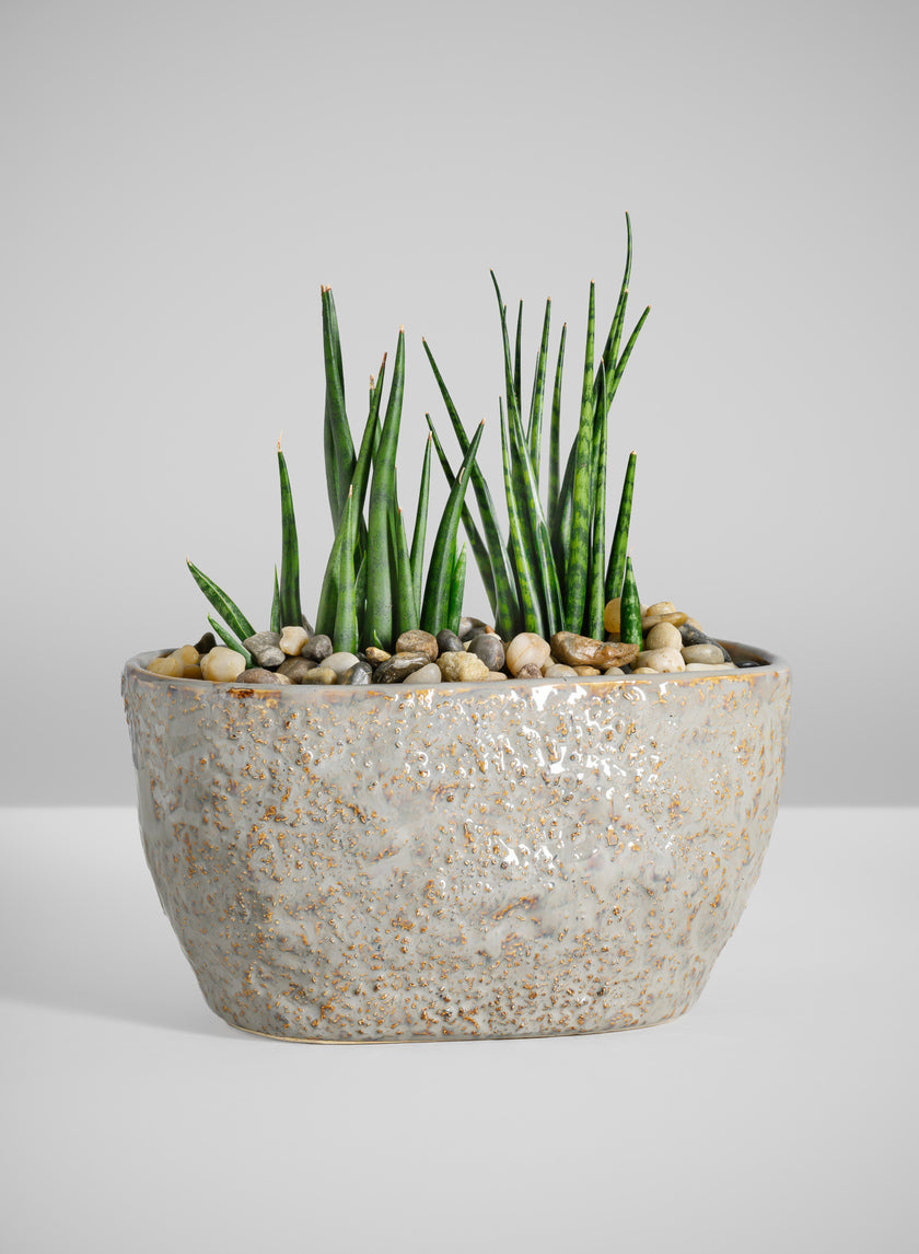4.5in Tall Bursa Oval Taupe Ceramic Cachepot Decor Jamali-garden