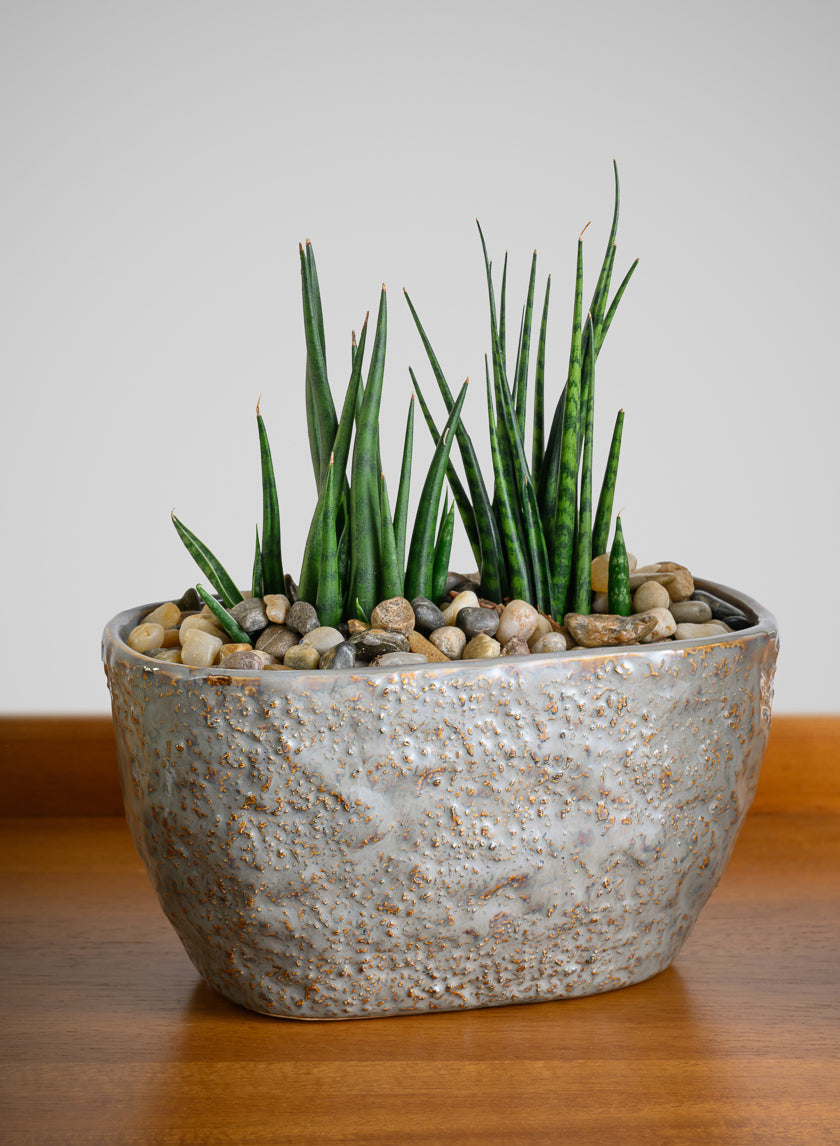 4.5in Tall Bursa Oval Taupe Ceramic Cachepot Decor Jamali-garden