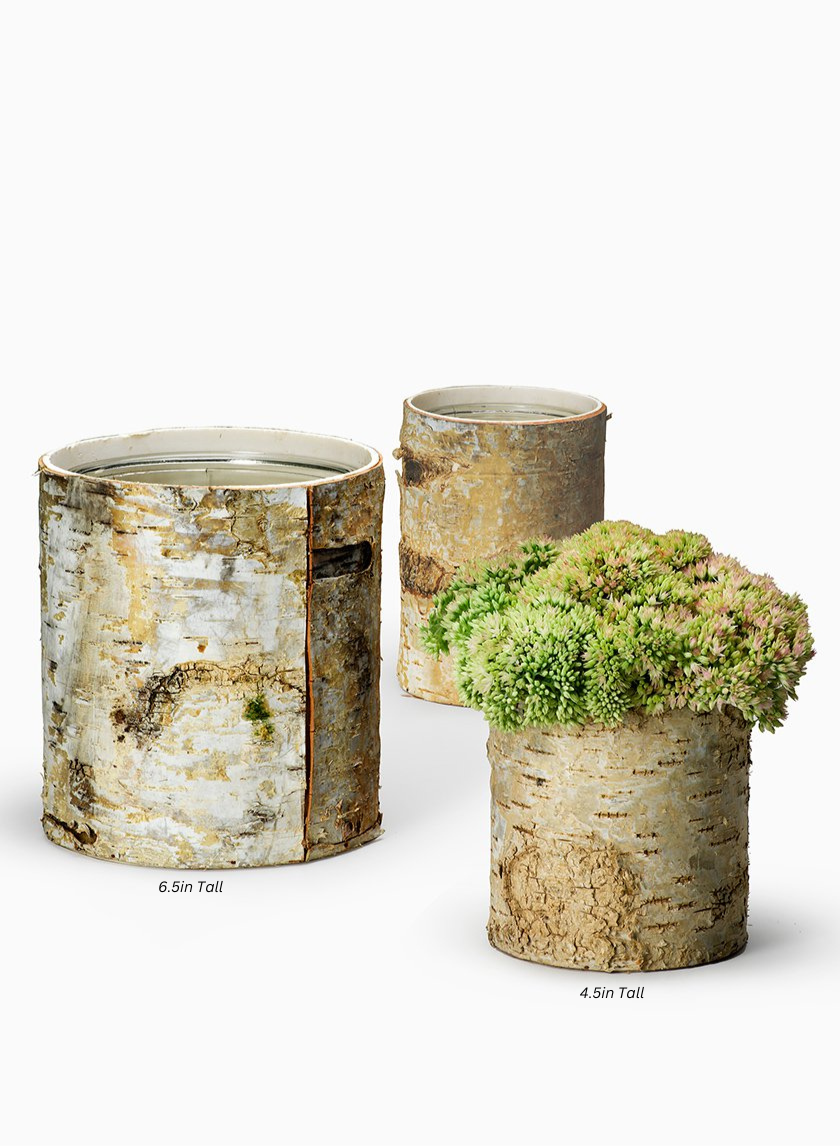Round White Birch Vases Decor Jamali-garden