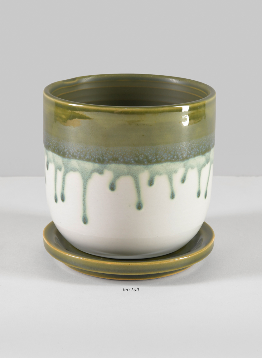 Harami Running Green Pot with Saucer Decor Jamali-garden Green and White 5in Tall EACH