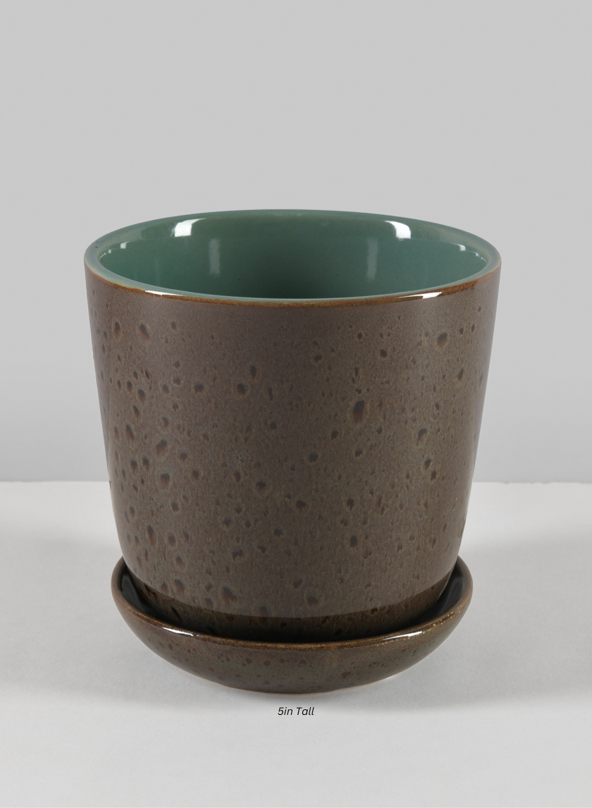 Cobra Black Dotted Green Pot Decor Jamali-garden 5in Tall EACH