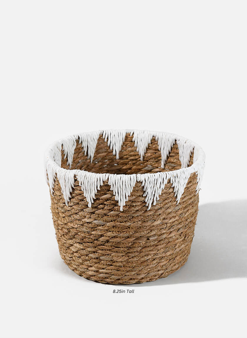 Timbuktu Cattails Basket Decor Jamali-garden 8.25in Tall EACH