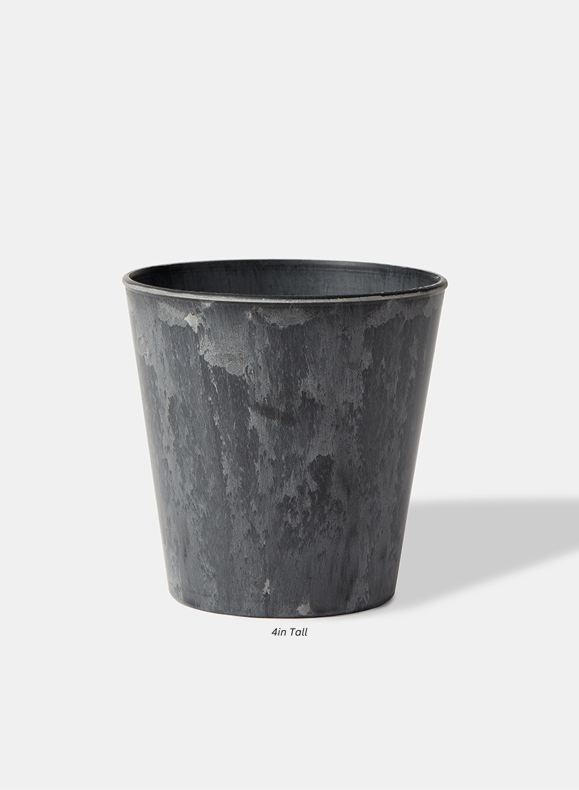 Aged Black Flower Bucket Decor Jamali-garden