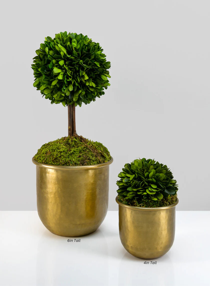 LuckNow Brass look Aluminum Pot Decor Jamali-garden