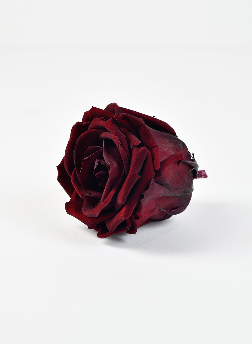 Preserved Burgundy Elegant Red Wine Rose, Set of 6 Decor Jamali-garden