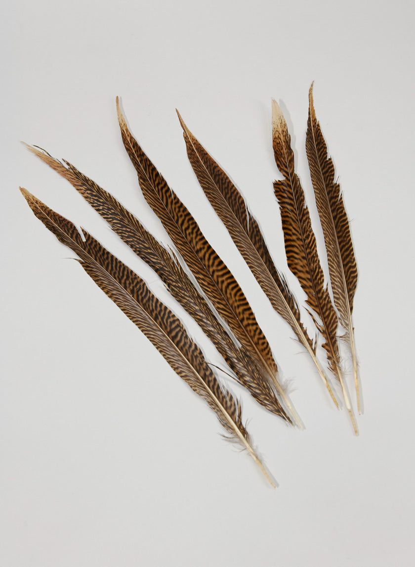14-16in Golden Pheasant Tail Decor Jamali-garden