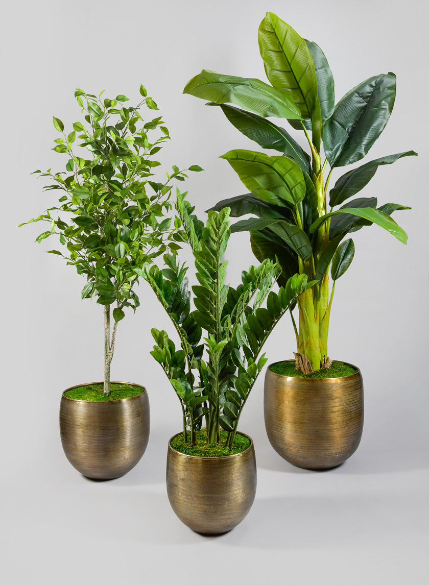Chatai Cache Pot Planter Decor Jamali-garden