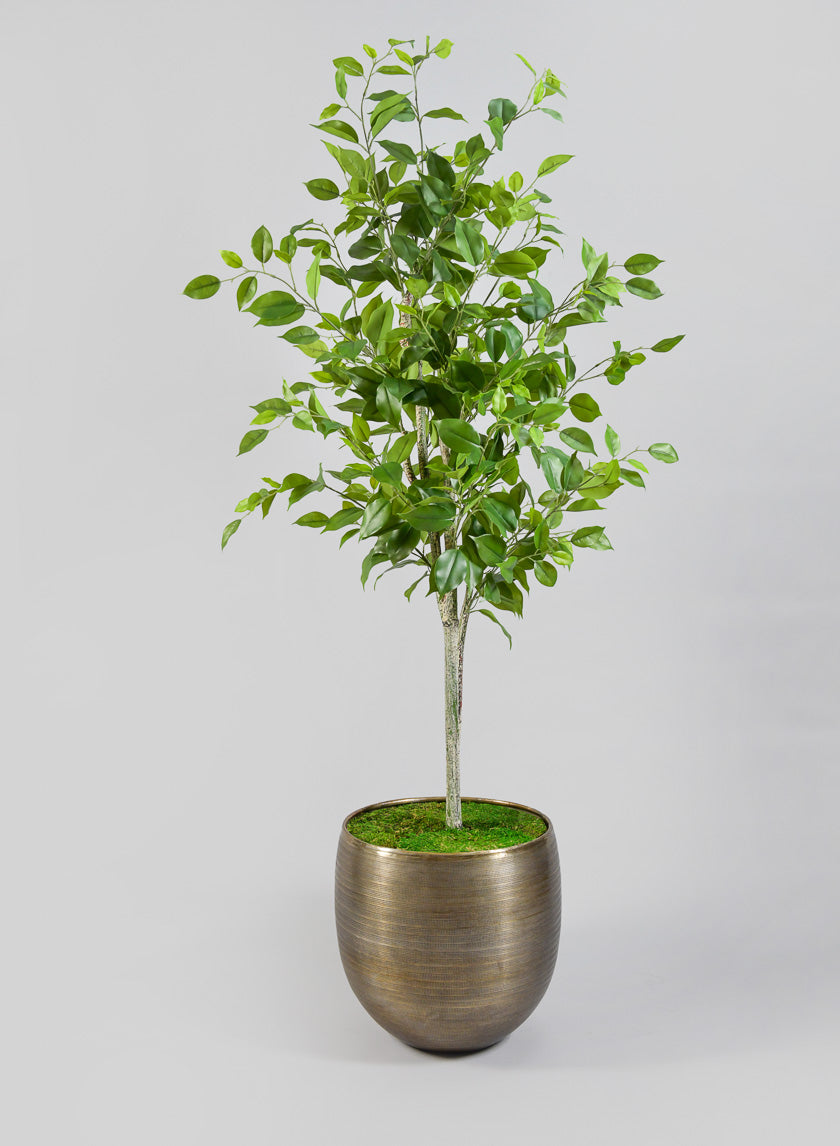 Chatai Cache Pot Planter Decor Jamali-garden 14in Tall EACH
