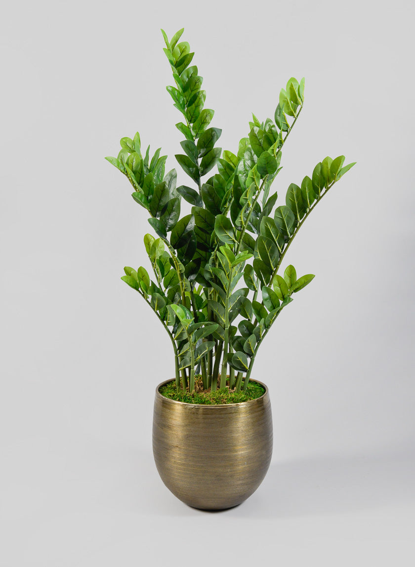 Chatai Cache Pot Planter Decor Jamali-garden 11.5in Tall EACH