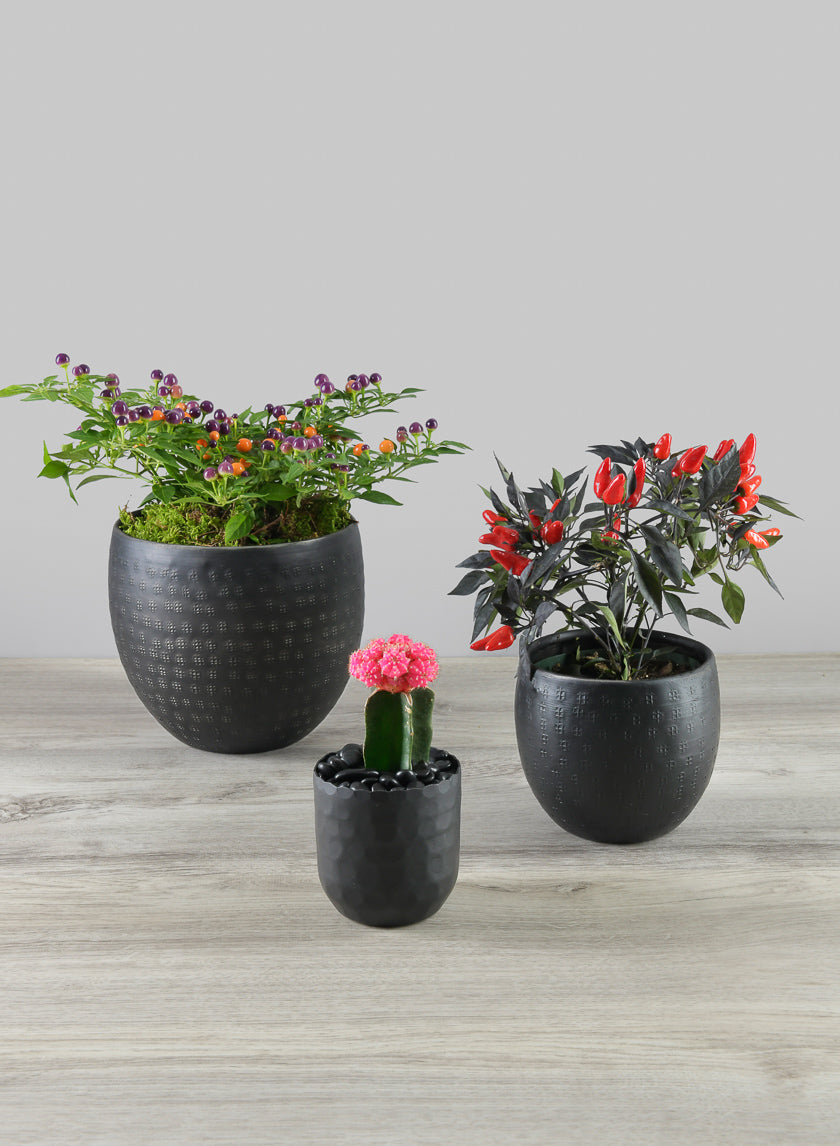 Anga Aluminum Ethnic Black Pot Decor Jamali-garden