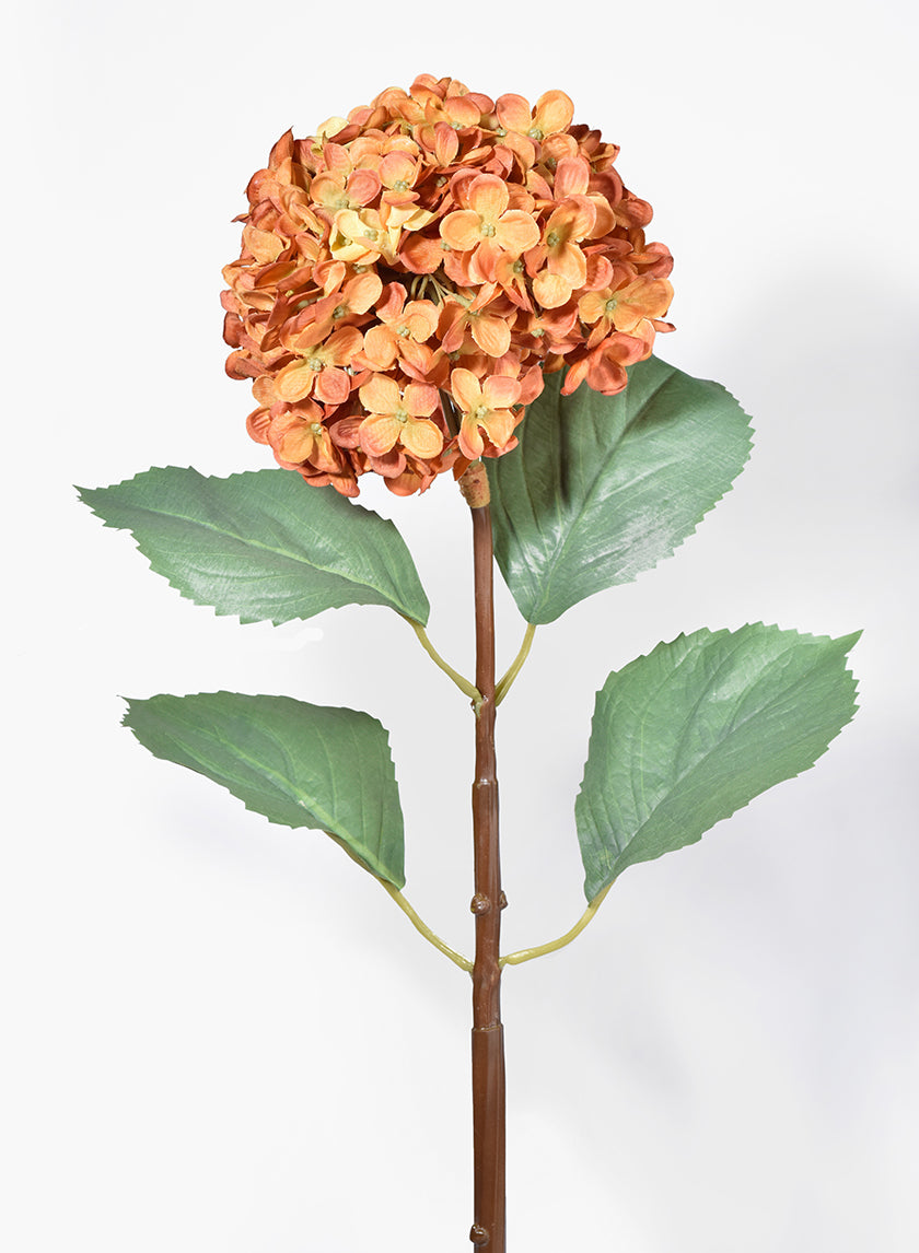31in Long Burnt Orange Hydrangea Decor Jamali-garden