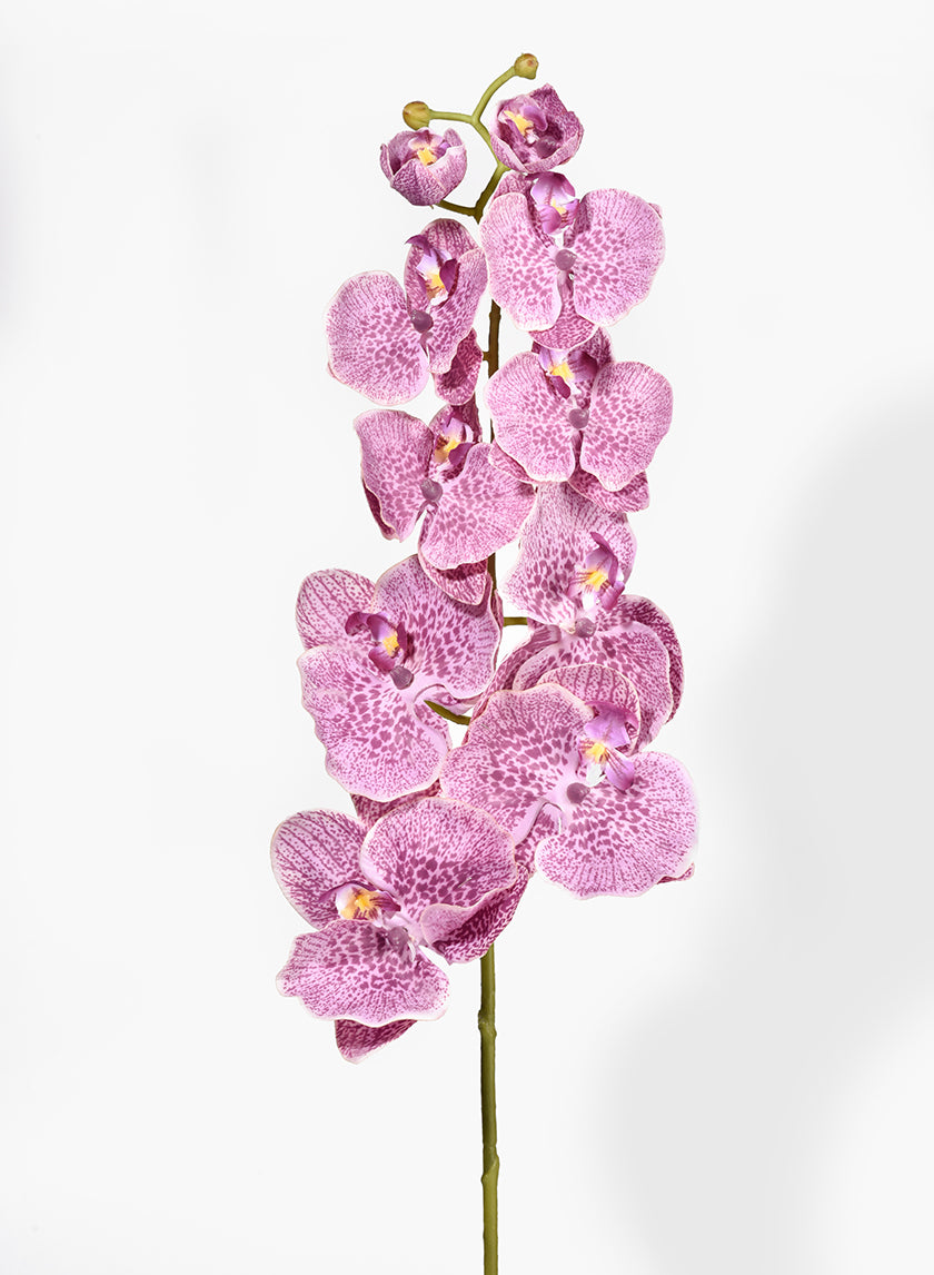 31in Long Purple Phalaenopsis Orchid Decor Jamali-garden