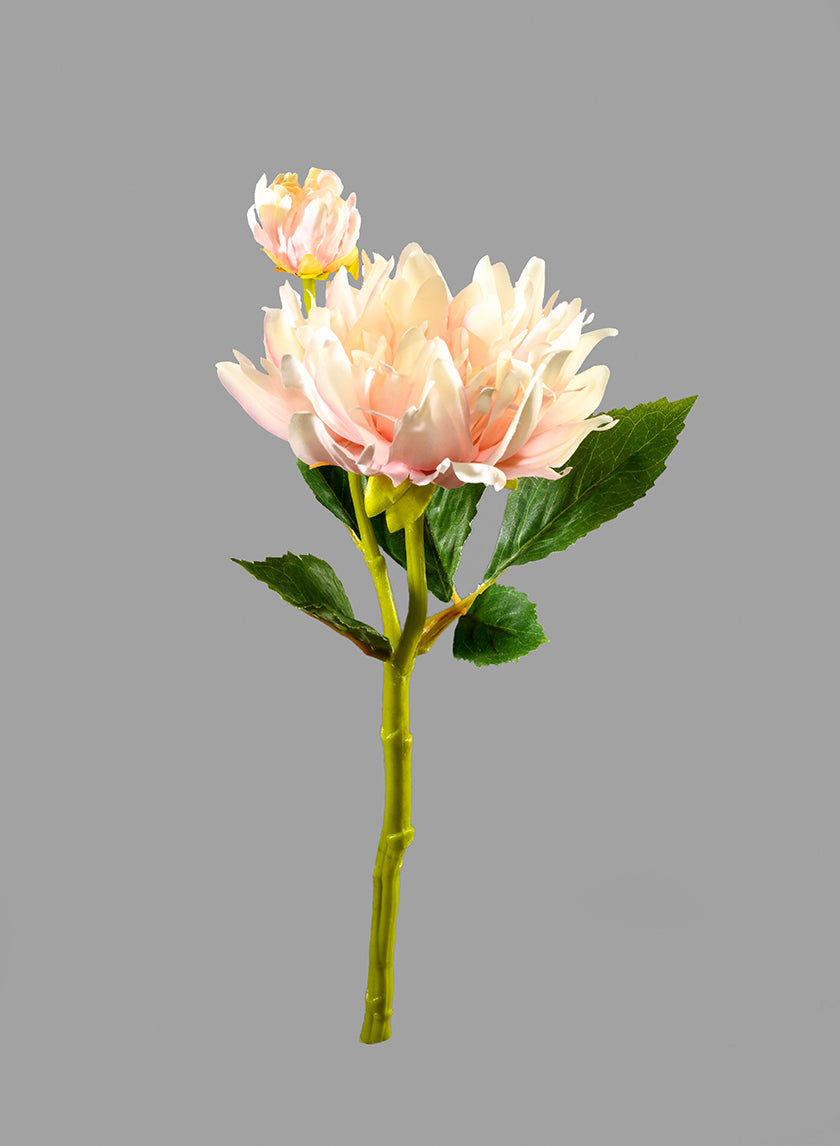13in Long Light Pink Dahlia, Case of 12 Decor Jamali-garden