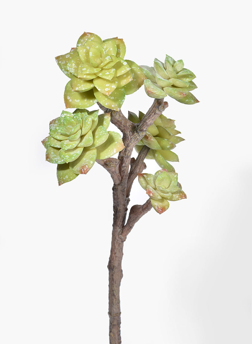 19in Long Green Succulent Pick Decor Jamali-garden