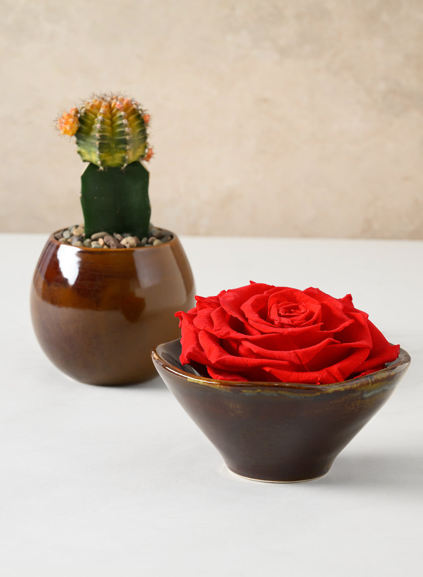 3.25in Tall Guan Oxblood Mini Ceramic Pots, Set of 2 Decor Jamali-garden