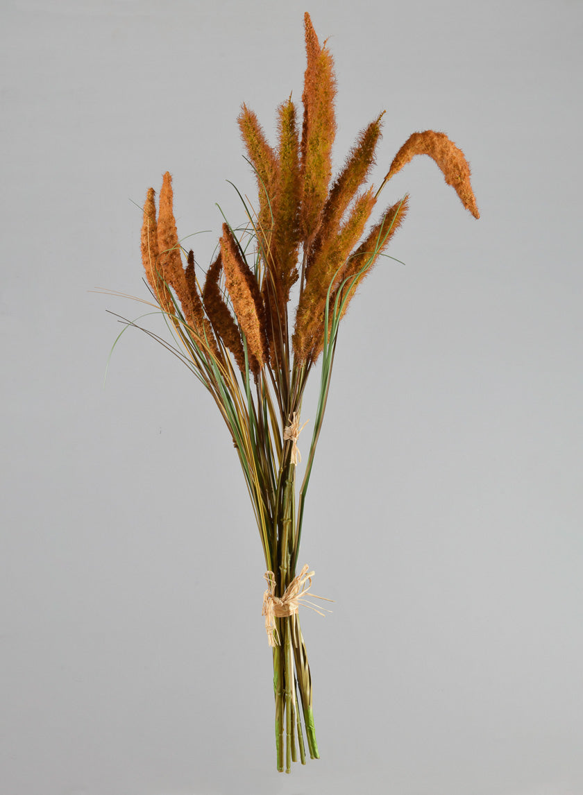 27.5in Long Brown Setaria/Onion Grass Bundle Decor Jamali-garden