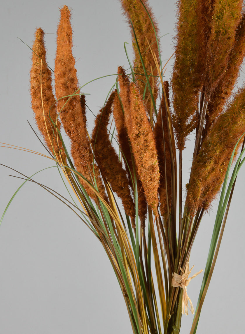 27.5in Long Brown Setaria/Onion Grass Bundle Decor Jamali-garden