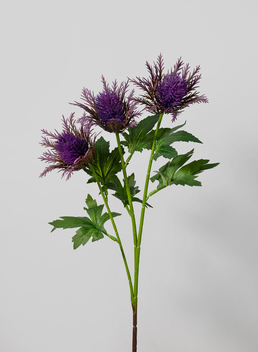 26in Long Teasel Spray Decor Jamali-garden