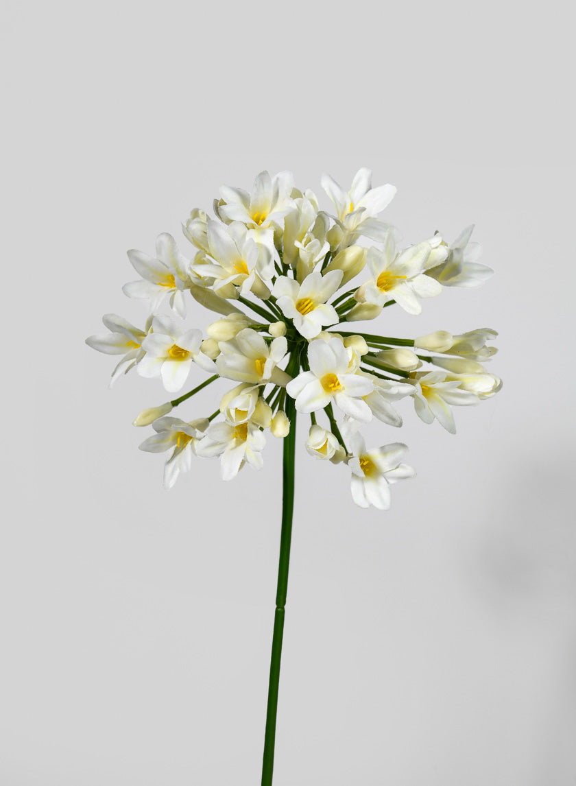 29.5in Long Agapanthus Spray Decor Jamali-garden