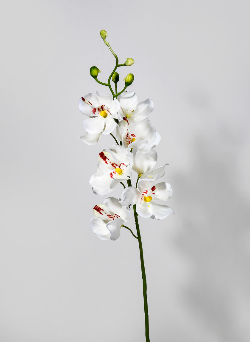 21in Long Mokara Orchid Spray Decor Jamali-garden