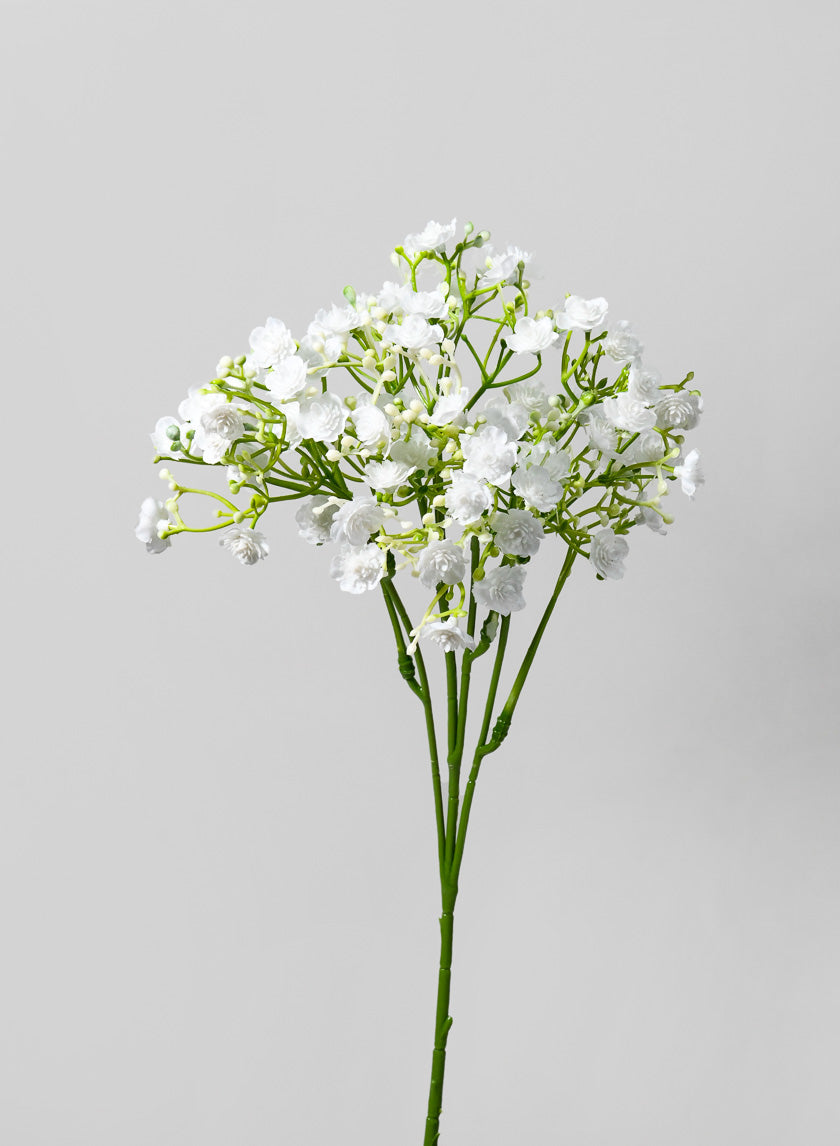 18in Long New Gypso Spray Decor Jamali-garden