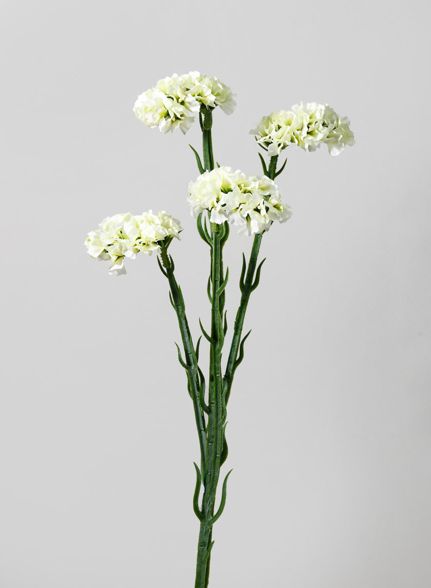 25in Long Statice Spray Decor Jamali-garden