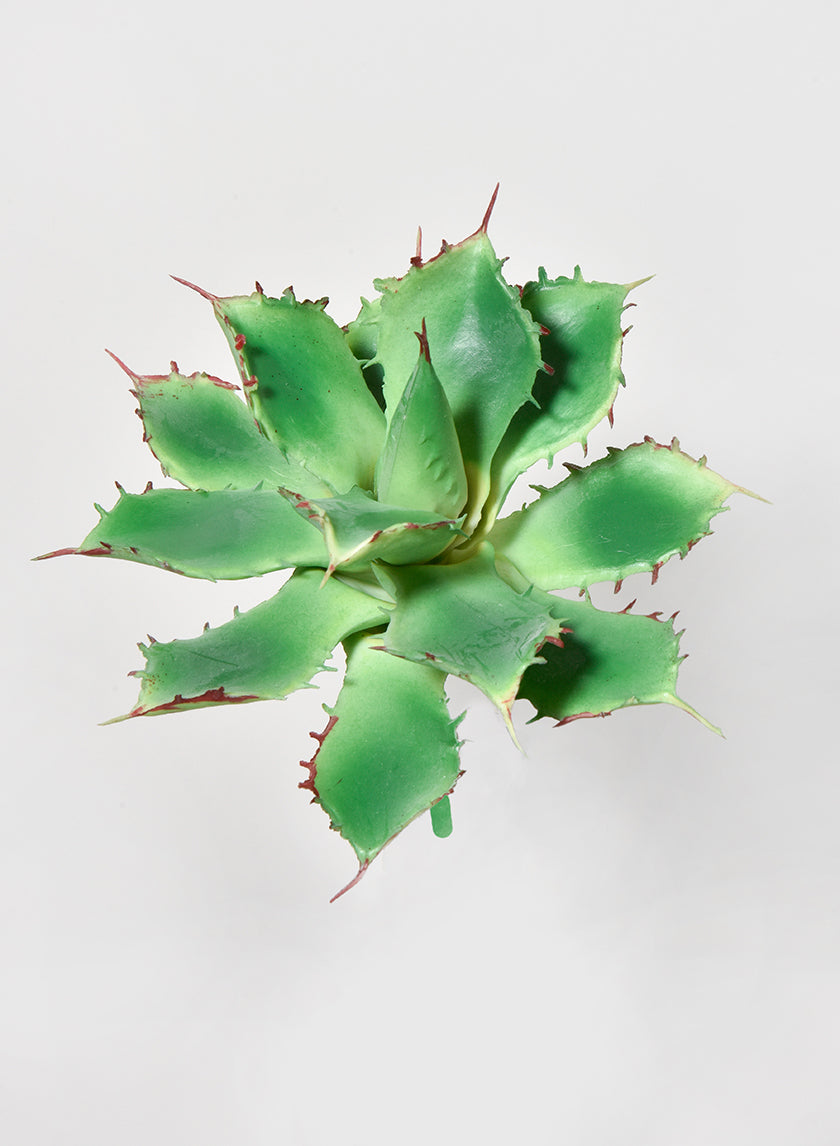 5 1/2in Long Star Cactus Pick Decor Jamali-garden