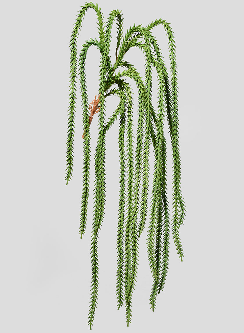 36in Long Crassula Succulent Vine Decor Jamali-garden