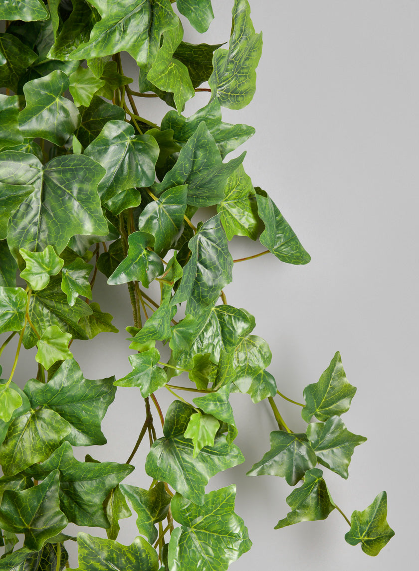 6ft Long Ivy Hanger Decor Jamali-garden