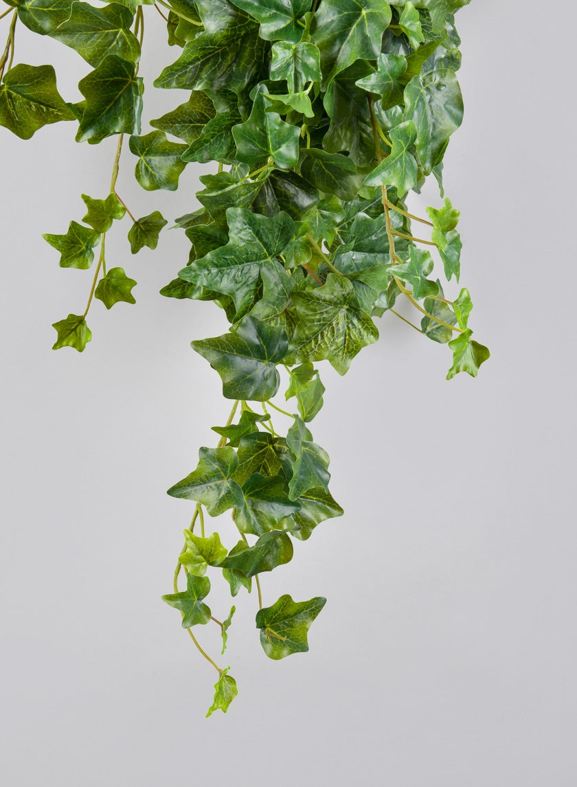 23.5in Long Ivy Hanger Decor Jamali-garden