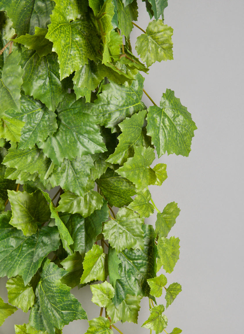 50in Long Grape Ivy Hanger Decor Jamali-garden