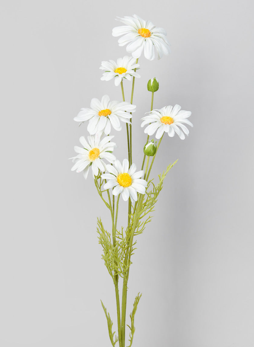 35in Long White Shasta Daisy Spray Decor Jamali-garden