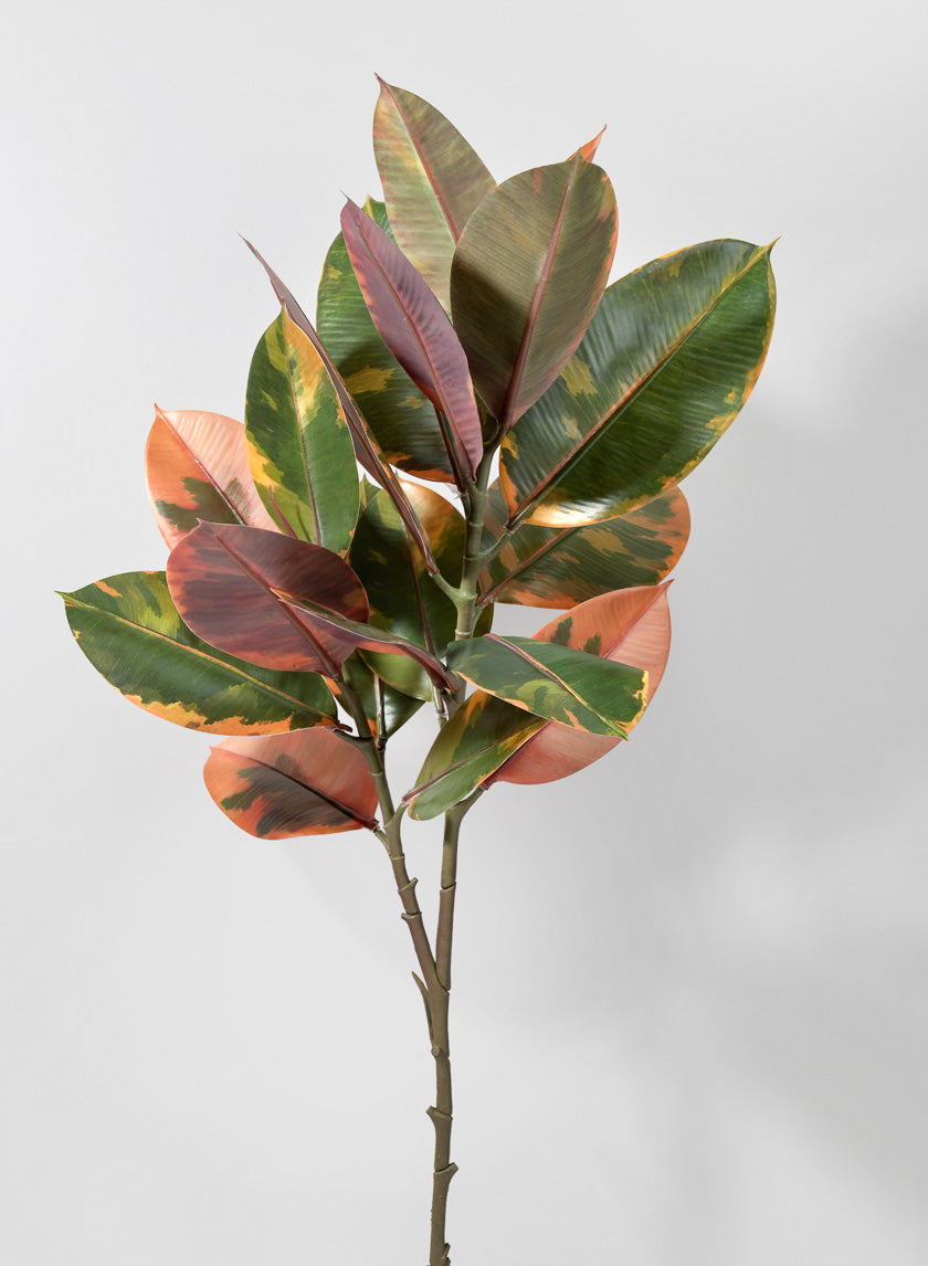 38.5in Long Ficus Elastica Leave Spray Decor Jamali-garden
