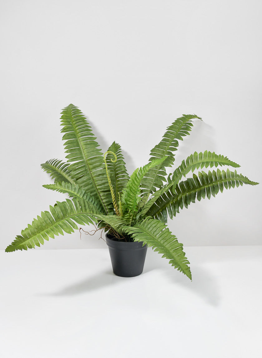 22in Long Potted Leather Fern Plant Decor Jamali-garden