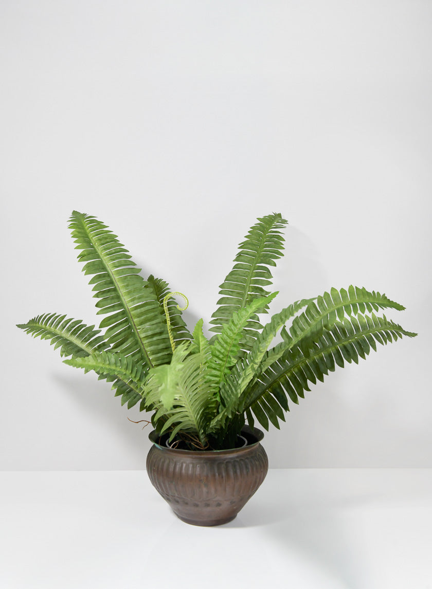 22in Long Potted Leather Fern Plant Decor Jamali-garden