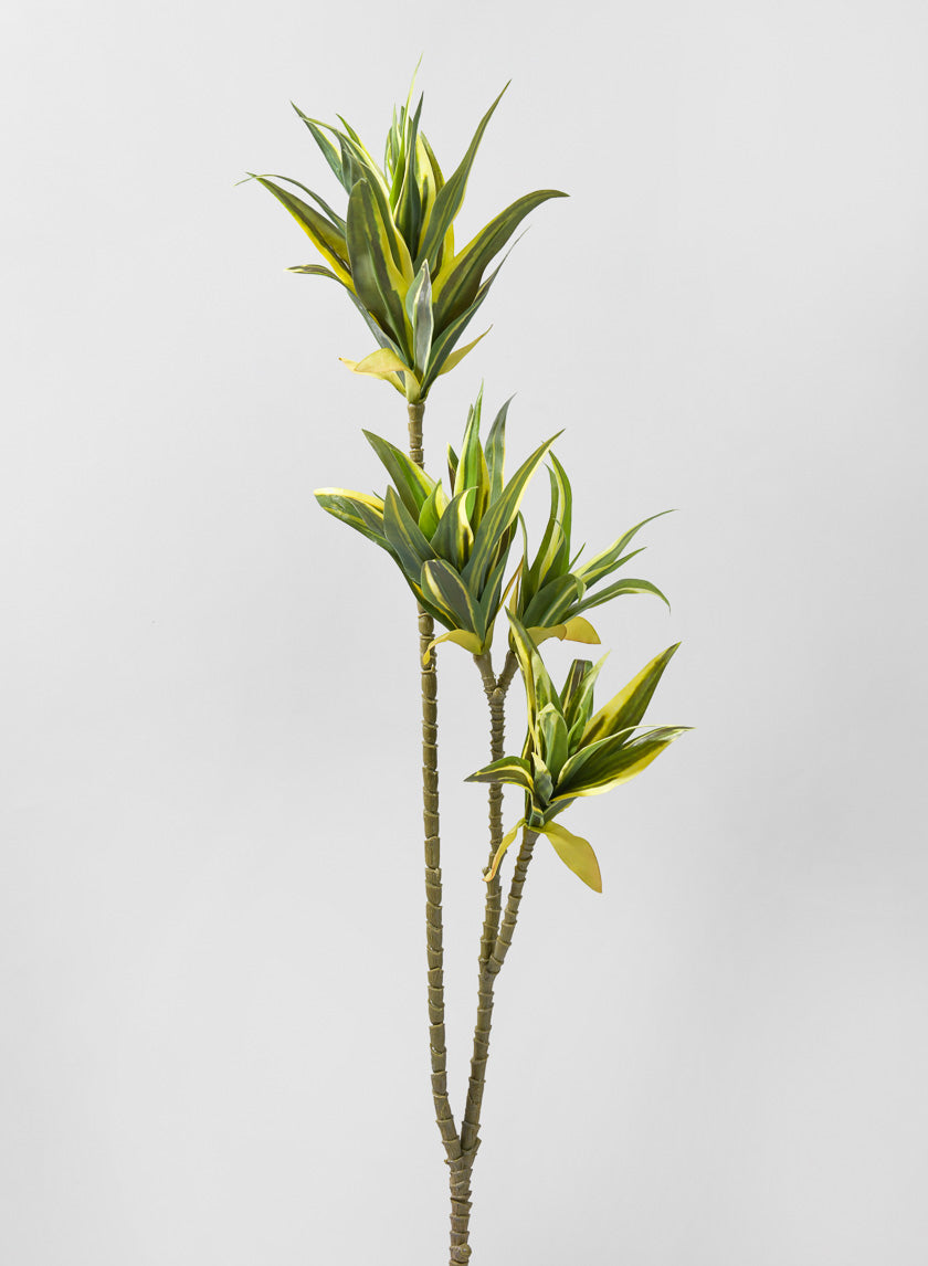 40in Long Fortune Bamboo Spray Decor Jamali-garden