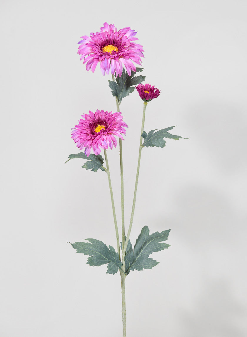 15in Long Lavender Transvaal Daisy Spray Decor Jamali-garden