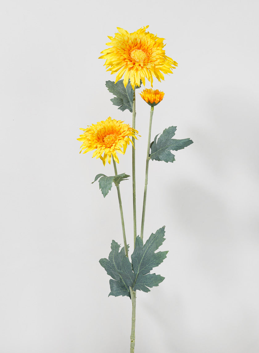 27in Long Yellow Transvaal Daisy Spray Decor Jamali-garden
