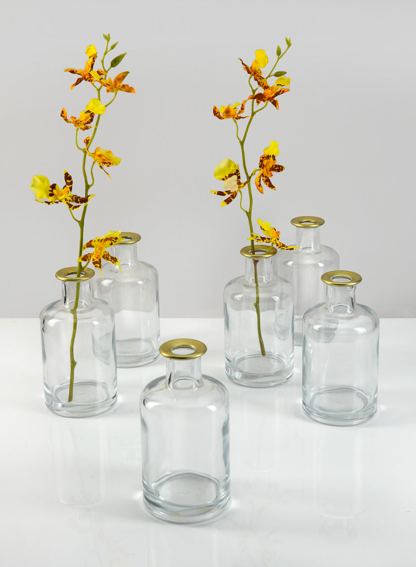 5.25in Tall Jolie Gold Rim Glass Bud Vase Decor Jamali-garden