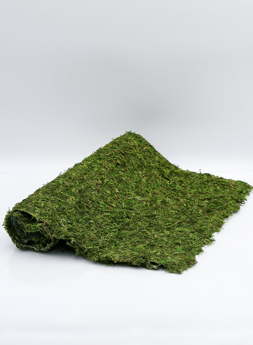 18in x 48in Preserved Moss Mat Decor Jamali-garden